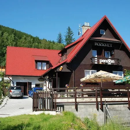 Guest house Rozkvet